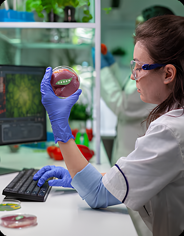 Prototype Development – From Bench Sample to Pilot Batch